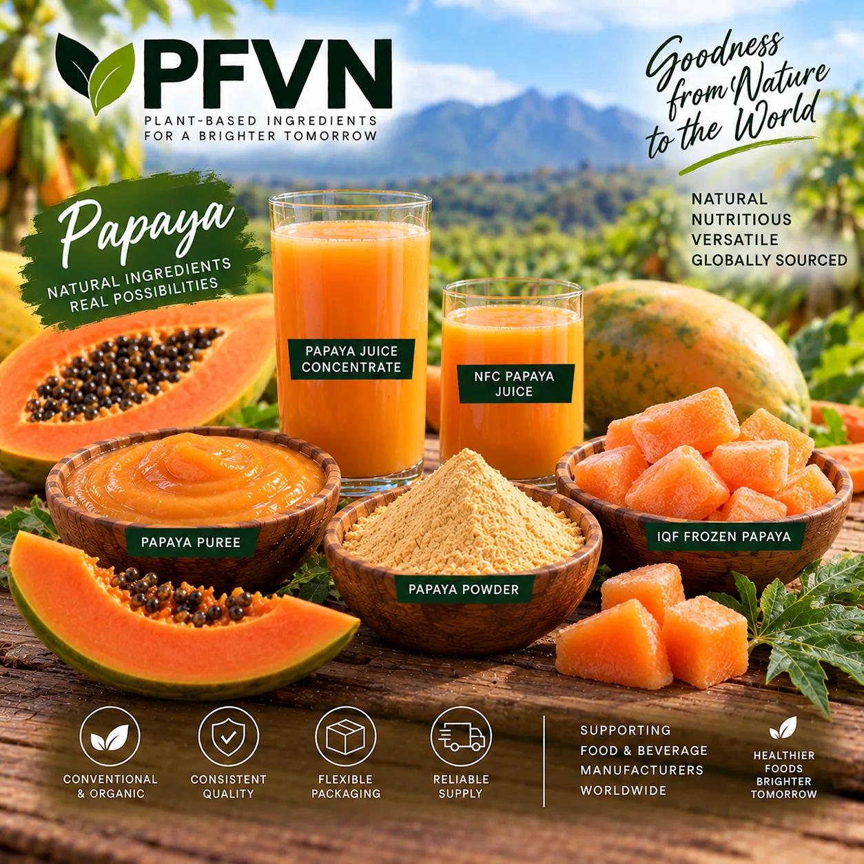 Bulk Papaya Puree